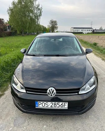 volkswagen Volkswagen Golf cena 33700 przebieg: 187000, rok produkcji 2014 z Jaworzno